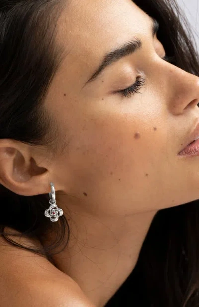 Sereia Official Camilla Earrings In Gold