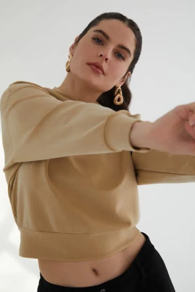 Kada The Cupro Power Pullover Sweatshirt In Brown