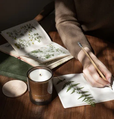 Skandinavisk Stuga Scented Candle 200g In Brown