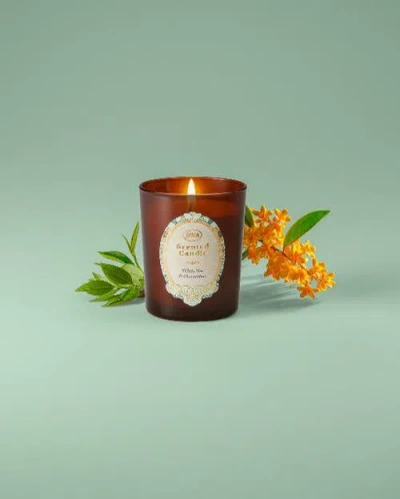 Sabon Candle Cotton Flowers & Sage 180gr In Brown