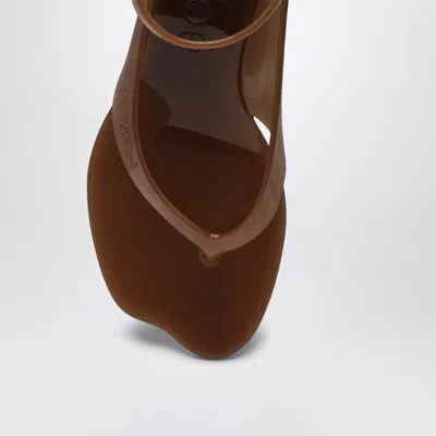 Chloé Brown Jelly Sandals In Brown
