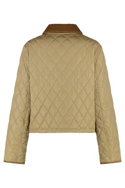 Burberry Dorset Quilted Nylon Jacket In Brown
