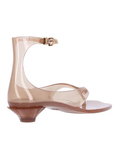 Chloé Jelly Flip-flops In Brown