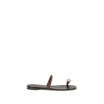 Giuseppe Zanotti Brown Calf Leather Bos Taurus Flat Sandals In Multi