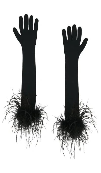 Bronx And Banco Long Spandex Glove In Black