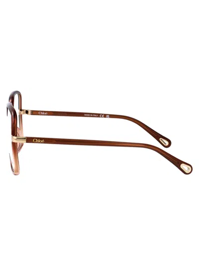 Chloé Brown-brown-transparent Bio Injection Glasses