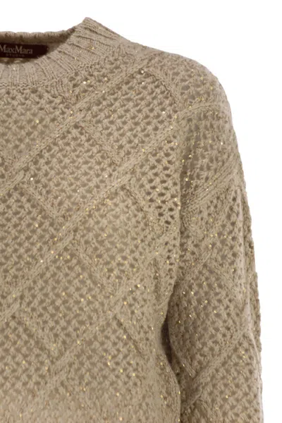 Max Mara Studio Ellade Sweater Beige In Brown