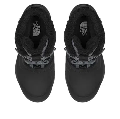 The North Face (wmns)  Chilkat V 400 Waterproof Boots 'tnf Black Vanadis Grey'