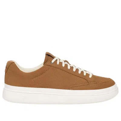 Ugg South Bay Sneaker Low Suede In Multi