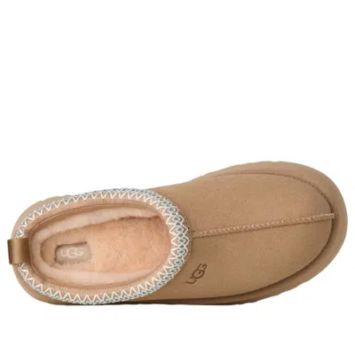 Ugg Tazz Beige Sabot With Embossed Logo In Suede Woman In Multi