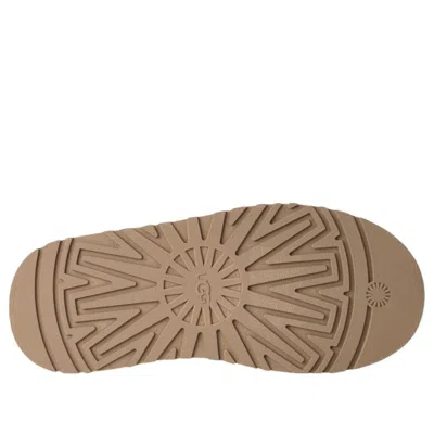 Ugg Tazz Beige Sabot With Embossed Logo In Suede Woman In Multi