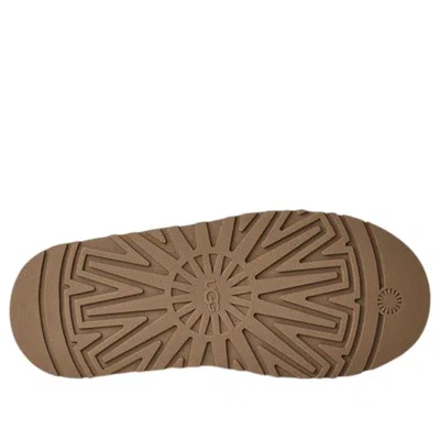 Ugg Tazzelle Logo Patch Slippers In Multi