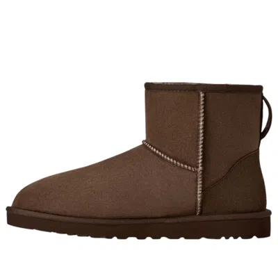 Ugg (wmns)  Classic Mini Ii Boots 'cocoa Brown'