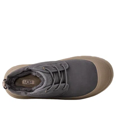 Ugg Neumel Suede Lace-up Boots In Multi