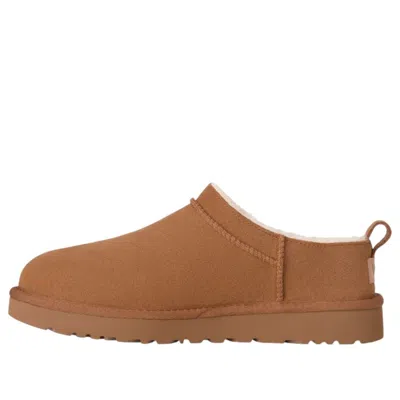 Ugg Mules " Classic Micro" In Brown