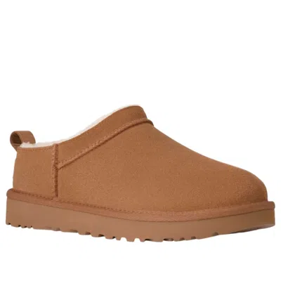 Ugg Mules " Classic Micro" In Brown