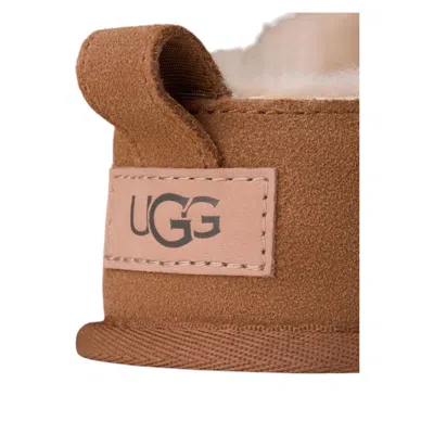 Ugg Mules " Classic Micro" In Brown