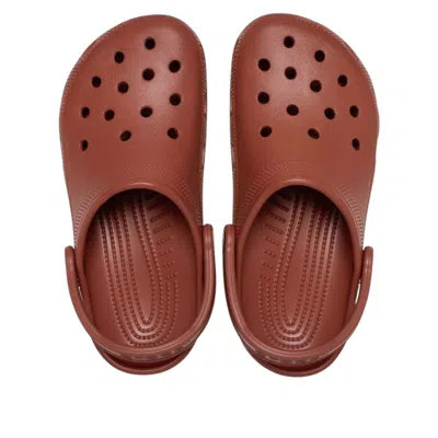 Crocs Classic Clog In Brown