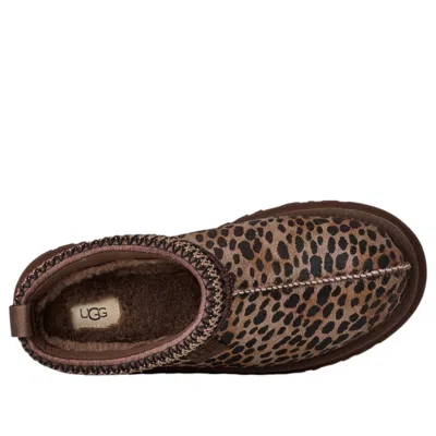 Ugg (wmns)  Tazz Caspian-mules 'dark Brown'