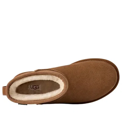 Ugg (wmns)  Classic Mini Gtx Boot 'chestnut' In Multi