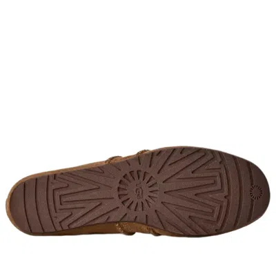 Ugg Quill Ballet Sneakers In Brown