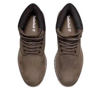 Timberland 6-inch Premium Waterproof Boot In Brown