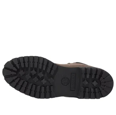 Timberland 6-inch Premium Waterproof Boot In Brown