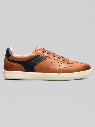 Florsheim Pace T-toe Lace Up Sneakers In Brown