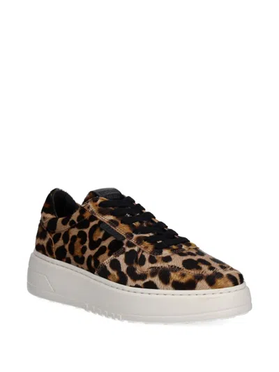 Copenhagen Leopard-print Sneakers In Animal Print