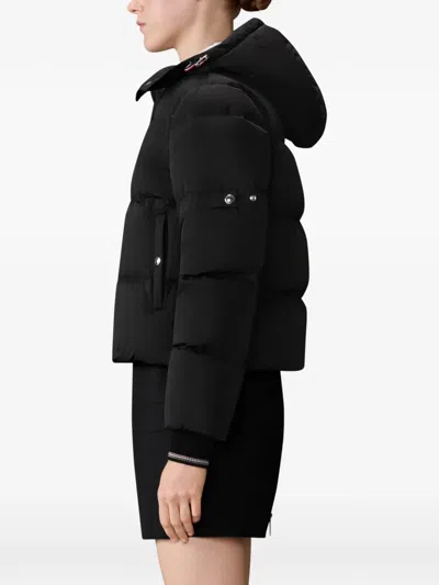 Thom Browne Armband Down Jacket With Removable Hood In Blue
