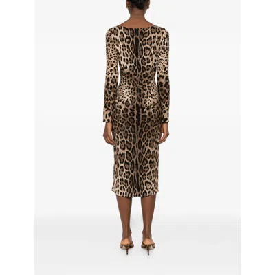 Dolce & Gabbana Dresses Brown, Black In Brown