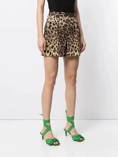 Dolce & Gabbana High Waist Leopard Stretch Drill Shorts In Animal Print
