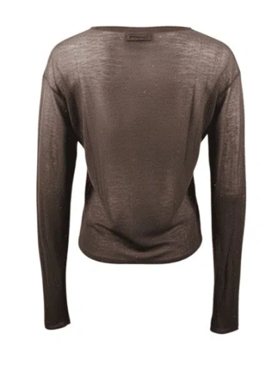 Pinko Sweaters Brown In Brown