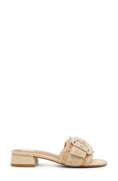 Dolce Vita Dv By  Nillz Slide Sandal In Brown