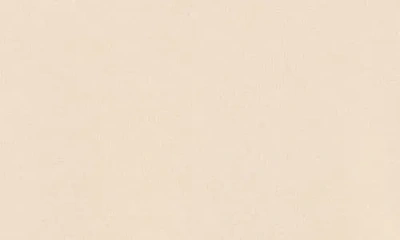 Max Studio Cinching Side Tie Pullover Sweater In Neutral