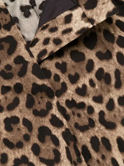 Dolce & Gabbana High Waist Leopard Stretch Drill Shorts In Animal Print