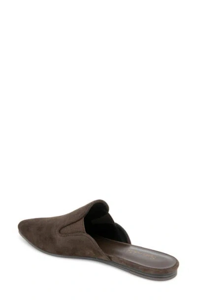 Splendid Liza Pointed Toe Mule In Brown