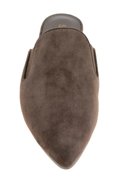 Splendid Liza Pointed Toe Mule In Brown