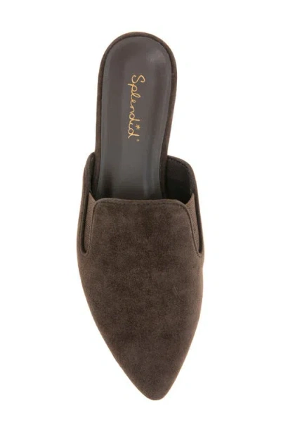 Splendid Liza Pointed Toe Mule In Brown