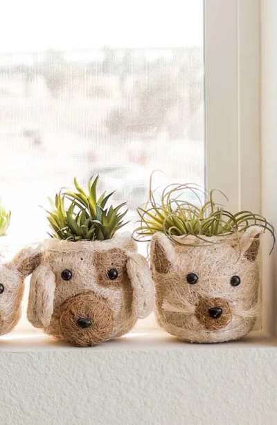 Likha Mini Cat Succulent Planter In Neutral