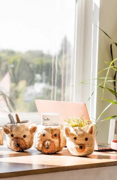 Likha Mini Cat Succulent Planter In Neutral