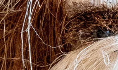 Likha Shih Tzu Handwoven Ornament In Multi