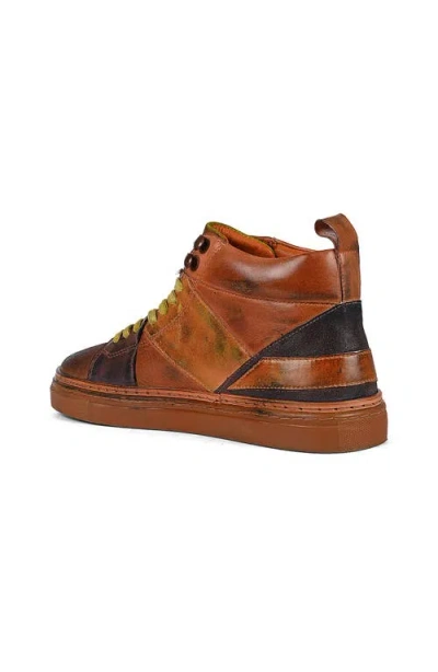 Roan Baranduin Sneaker In Multi