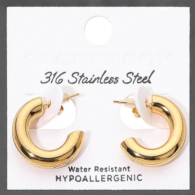 Fashnzfab Secret Box_stainless Steel Think Hoop Earrings In Gold