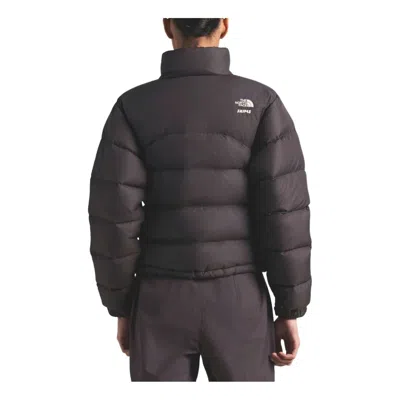 The North Face Womens  2000 Nuptse High-neck Shell-down Jacket In Brown