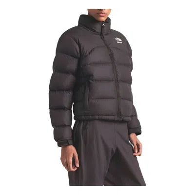 The North Face Womens  2000 Nuptse High-neck Shell-down Jacket In Brown