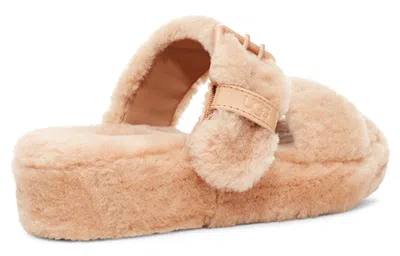Ugg (wmns)  Buckle Light Brown Sandals