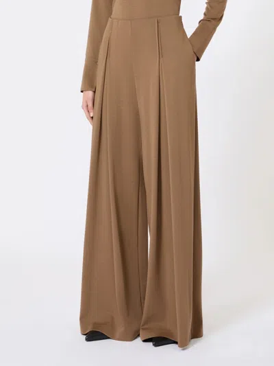 Max Mara Wool Knitted Pants In Brown