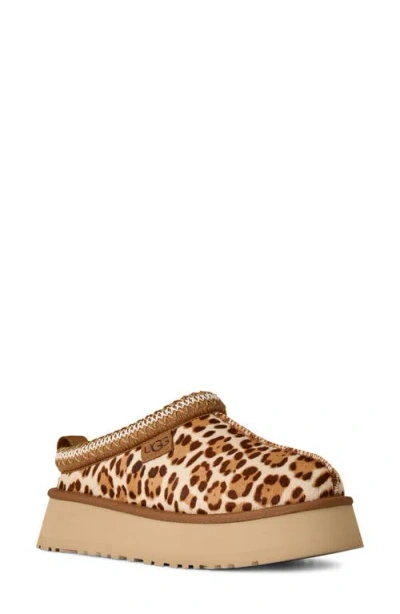 Ugg Tazz Plains Slippers Felicity Leopard Jasmine In Brown