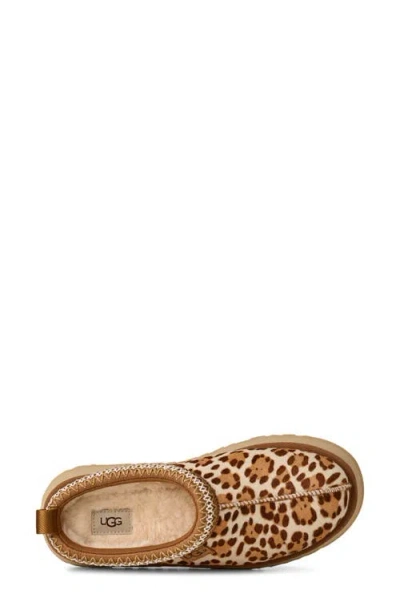 Ugg Tazz Plains Slippers Felicity Leopard Jasmine In Brown